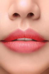 Vida New York Tinterbell (Lip & Cheek Tint)