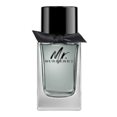BURBERRY MR BURBERRY EDT 100ML